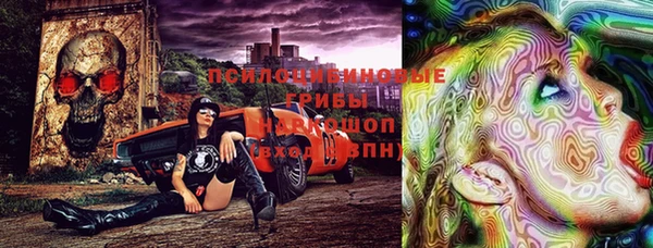 стаф Ладушкин
