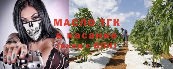 стаф Ладушкин