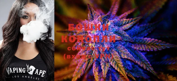 стаф Ладушкин