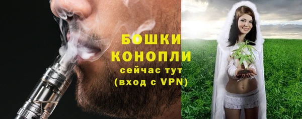 стаф Ладушкин
