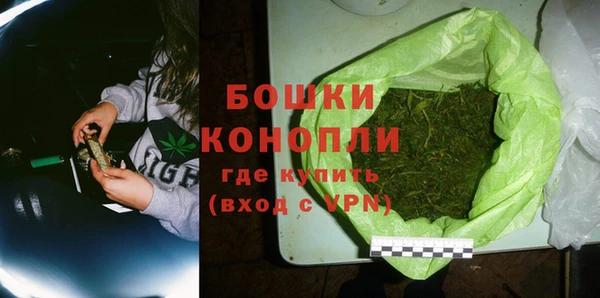 стаф Ладушкин